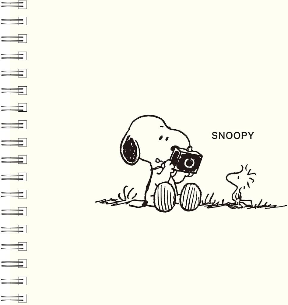 Amazon.co.jp: ナカバヤシ フリーアルバム かけるーのエアー台紙